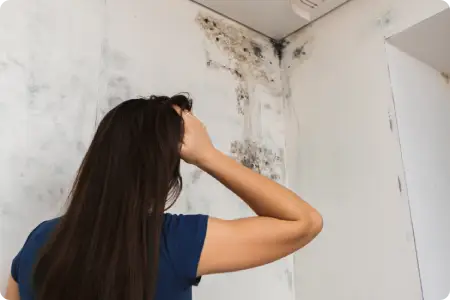 Housing Disrepair Claims